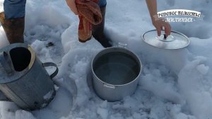 Обработка смородины кипятком ранней весной.