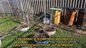 ДВУХПЛОСКОСТНАЯ ШПАЛЕРА ПОД ВИНОГРАД. ВЫСОКИЕ ГРЯДКИ.