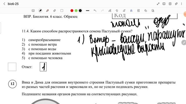 ВПР по биологии, 6 класс, 2 часть, 2025г