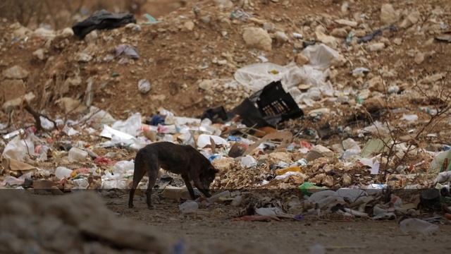 БРАТ ПРЕВРАТИЛ МОЮ ЖИЗНЬ В АД И ЗАБЕРЕМЕНЕЛ ОТ МОЕЙ ЖЕ? смотреть онлайн