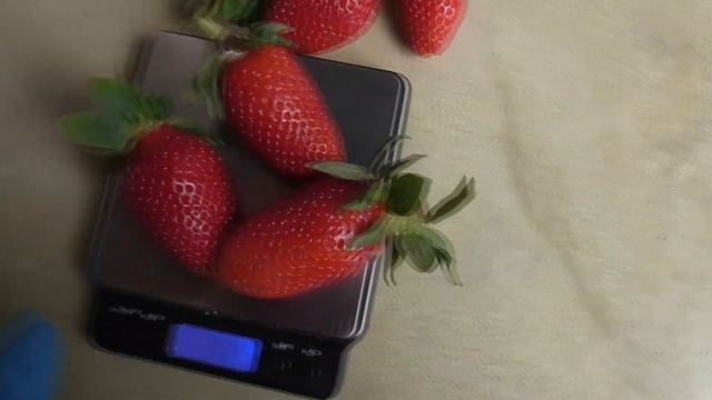 РОЯЛ РОЙС Очередная интересная новинка среди сортов ? смотреть онлайн