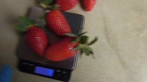 РОЯЛ РОЙС Очередная интересная новинка среди  сортов ?