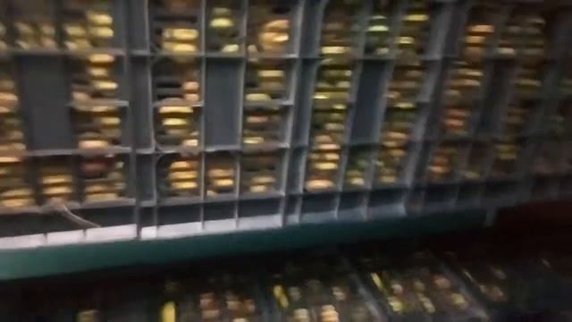 Яблоки корей смотреть онлайн