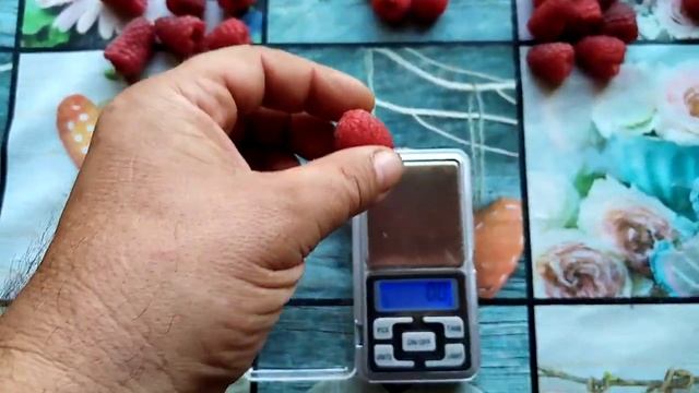 Малина сорта пшехиба, маравилла, амира, энросадира - об смотреть онлайн