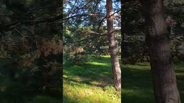 Люди команды. Кто они?