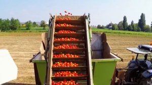 УДИВИТЕЛЬНЫЕ фрукто-уборочные машины и сельхозтехник