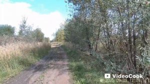 Для бега, для ходьбы на беговой дорожке.