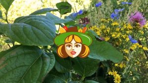 Как посадить Хурму правильно. Проверенный способ.