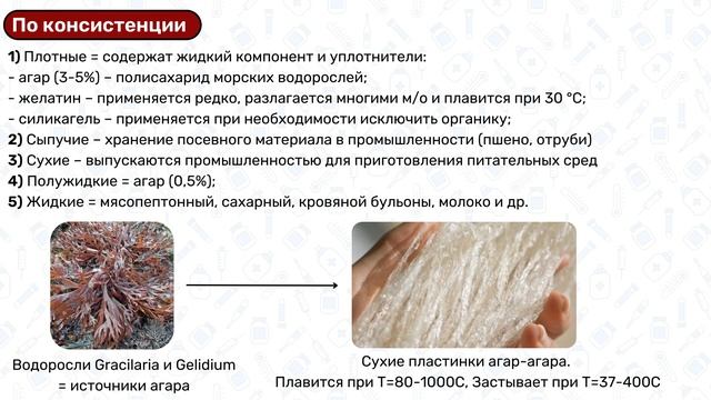 Питательные среды МИКРОБИОЛОГИЯ: виды питательных ср? смотреть онлайн
