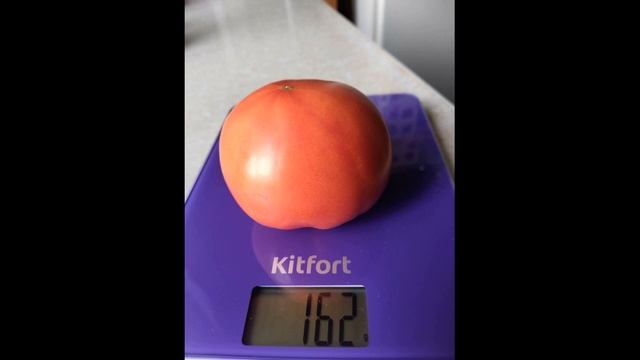 Самый лучший томат в мире 2023 г.! Высокоурожайный, сладк смотреть онлайн