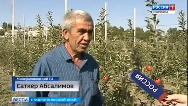 Сады Ставрополья "Суперинтенсивные сады для ЛПХ" смотреть онлайн