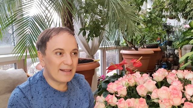 Век живи, век учись или дневник дачника часть 41