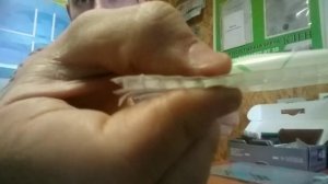 Какой поликарбонат купить для теплицы? Как выбрать те?