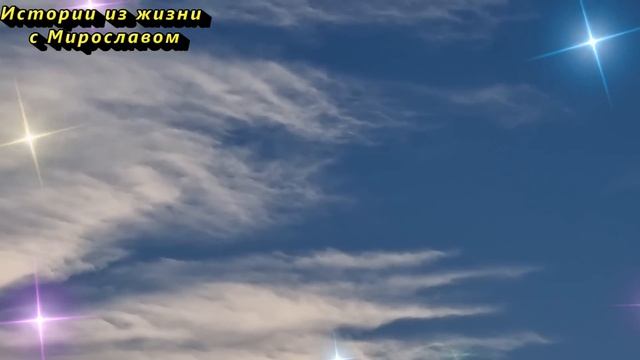 Сотрудник морга признался: души умерших не уходят — ж? смотреть онлайн