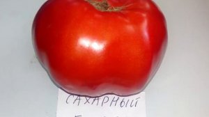 Томат Сахарный бизон