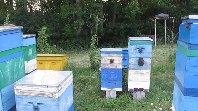 ДВУХМАТОЧНОЕ содержание сдерживает РОЕНИЕ ! смотреть онлайн