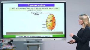 6 класс. Биология. Видоизменения побегов