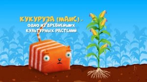 Развлечёба. Окружающий мир. Про дикие и культурные рас