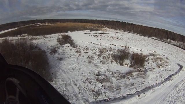 Дикие олени