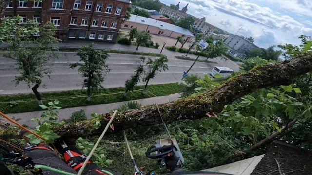 Спил тополя в центре города | Арбористика смотреть онлайн