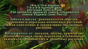 Агрогороскоп Апрель 2024: Лунный посевной календарь для