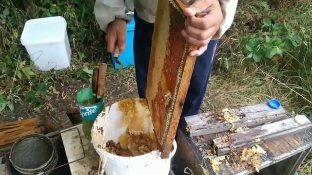 Один день из жизни пчеловода