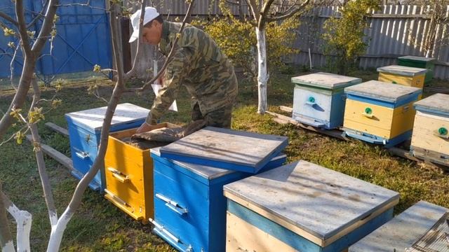 Обработка пчел от клеща. Способы и препараты. Обработк смотреть онлайн
