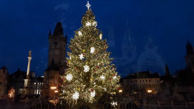 Самые красивые елки мира, которые стоит увидеть! смотреть онлайн