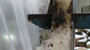 Защёлка на двери , в теплицу.