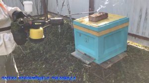 Обработка пчел дым пушкой от варроатоза и акарапидоза