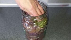 Спасаем солёные грибы.  Что делать, если в рассоле появ