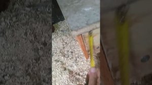 Лучшие гнёзда для кур несушек.  Размеры!