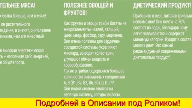 Домашняя Грибница Вешенки Купить В Липецке