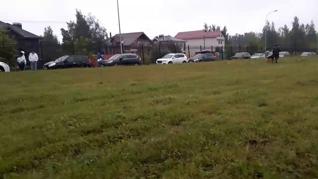 1 Отл. КЧК De Orse Mak Flai KVEN +++ №11