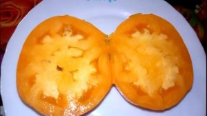 Томат Оранжевое солнце