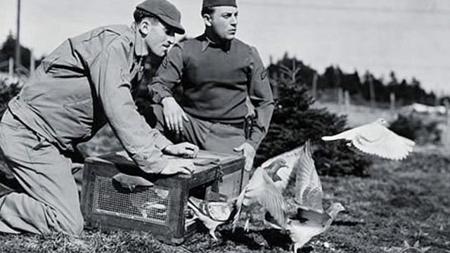 История средств передачи информации смотреть онлайн