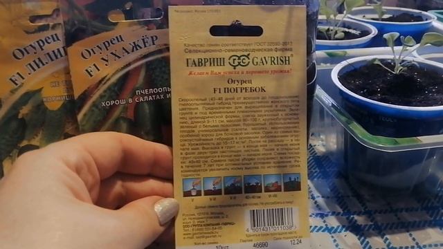 Огурец F1 "Погребок" от агрофирмы Гавриш. Обзор семян к ? смотреть онлайн