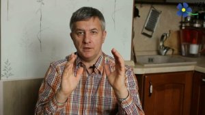 Почему нельзя подкармливать пчел канди зимой