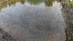 Садовый пруд на участке своими руками без пленки, для ?