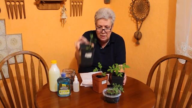 89 Те же и нашатырный спирт смотреть онлайн