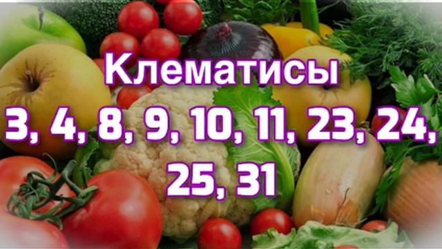 Лунный календарь садоводов и огородников на октябрь 20 смотреть онлайн
