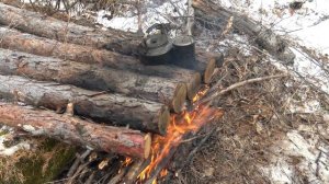 КОСТЕР ТАЁЖНЫЙ (ЮРЛОК),  ДЛЯ НОЧЕВКИ В ТАЙГЕ ЗИМОЙ. ПОДР