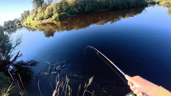 ЩУКА НА ТЕЙЛ-СПИННЕР. РЫБАЛКА В ДИКИХ МЕСТАХ. КАК ДОСТАТЬ С ОБРЫВА?