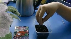 Можно ли сажать семена в  кипяток?