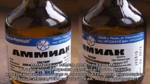 Нашатырный спирт для клубники