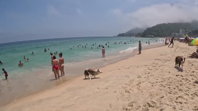 Отправляемся на прогулку по самому красивому пляжу Бразилии - Леблон (Рио) смотреть онлайн