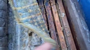 Лучшее утепления улья РУБЕРОИДОМ быстро и недорого. Р?