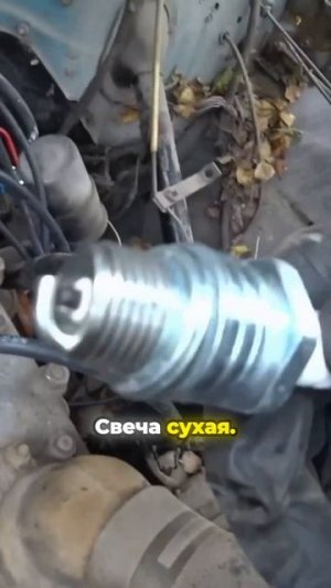 TG: nexpertGM ЧТО ДЕЛАТЬ ПРОФФЕССОР? #shorts #независимыйэксперт #георгиймедведев