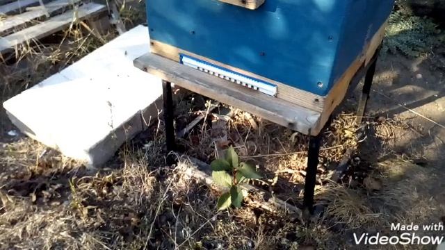 УЛЕЙ - Прилетная доска. Важность и роль для каждого вре смотреть онлайн