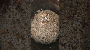 Чеснок в Плове, как делать правильно? 🧄